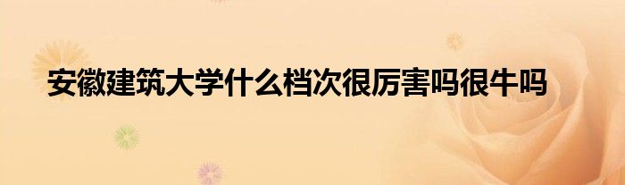 安徽建筑大学什么档次很厉害吗很牛吗