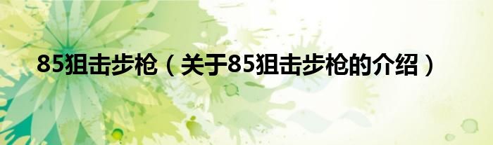 85狙击步枪（关于85狙击步枪的介绍）