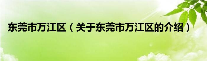 东莞市万江区（关于东莞市万江区的介绍）