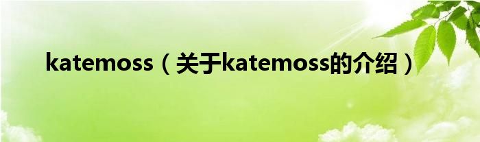 katemoss（关于katemoss的介绍）