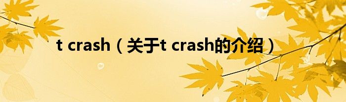 t crash（关于t crash的介绍）