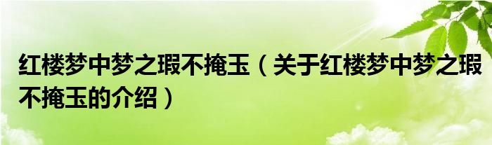 红楼梦中梦之瑕不掩玉（关于红楼梦中梦之瑕不掩玉的介绍）