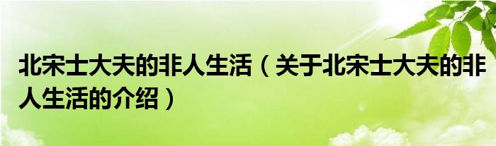 北宋士大夫的非人生活（关于北宋士大夫的非人生活的介绍）