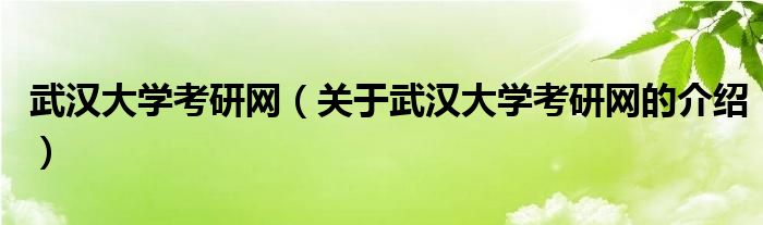 武汉大学考研网（关于武汉大学考研网的介绍）