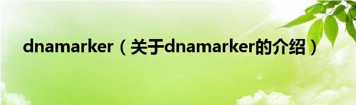 dnamarker（关于dnamarker的介绍）