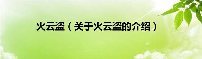 火云盗（关于火云盗的介绍）