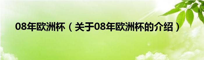 08年欧洲杯（关于08年欧洲杯的介绍）