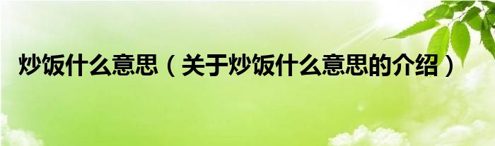 炒饭什么意思（关于炒饭什么意思的介绍）