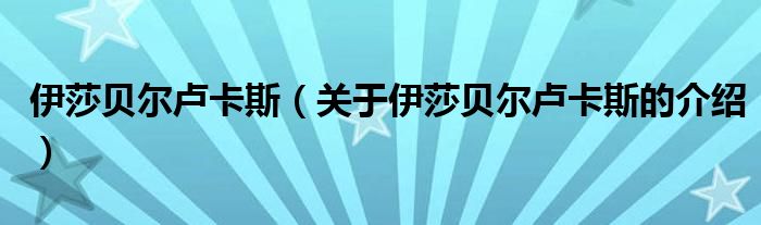 伊莎贝尔卢卡斯（关于伊莎贝尔卢卡斯的介绍）