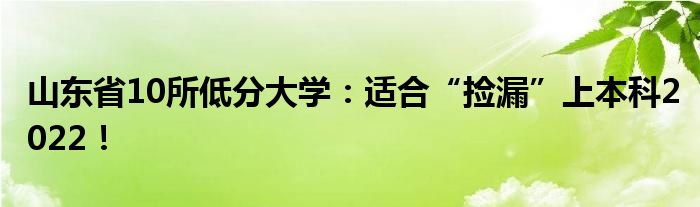 山东省10所低分大学：适合“捡漏”上本科2022！