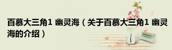 百慕大三角1 幽灵海（关于百慕大三角1 幽灵海的介绍）