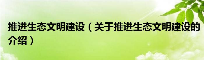 推进生态文明建设（关于推进生态文明建设的介绍）