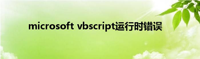 microsoft vbscript运行时错误