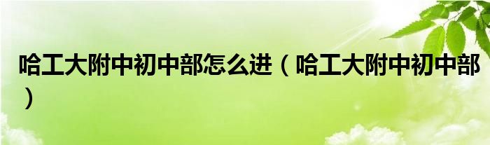 哈工大附中初中部怎么进（哈工大附中初中部）