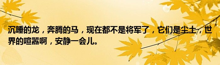 沉睡的龙，奔腾的马，现在都不是将军了，它们是尘土，世界的喧嚣啊，安静一会儿。