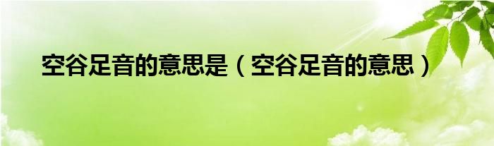 空谷足音的意思是（空谷足音的意思）