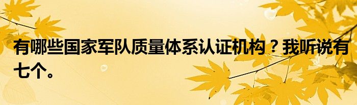 有哪些国家军队质量体系认证机构？我听说有七个。