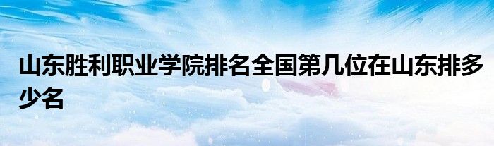 山东胜利职业学院排名全国第几位在山东排多少名