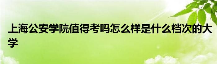 上海公安学院值得考吗怎么样是什么档次的大学