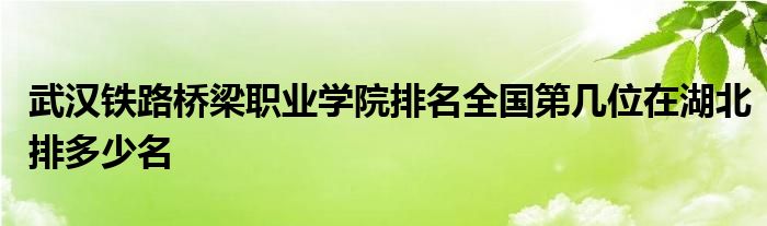 武汉铁路桥梁职业学院排名全国第几位在湖北排多少名