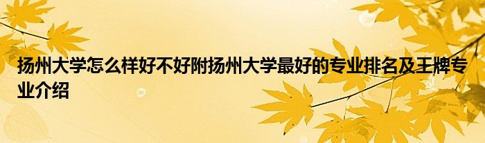 扬州大学怎么样好不好附扬州大学最好的专业排名及王牌专业介绍