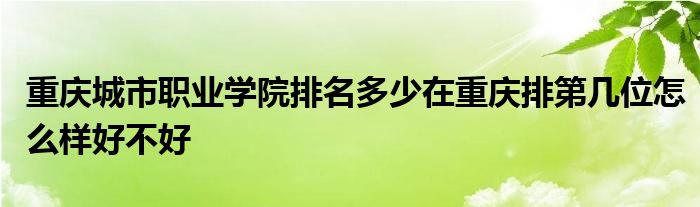 重庆城市职业学院排名多少在重庆排第几位怎么样好不好