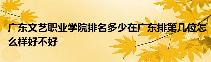 广东文艺职业学院排名多少在广东排第几位怎么样好不好