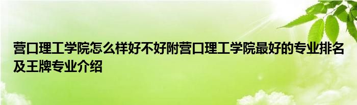 营口理工学院怎么样好不好附营口理工学院最好的专业排名及王牌专业介绍