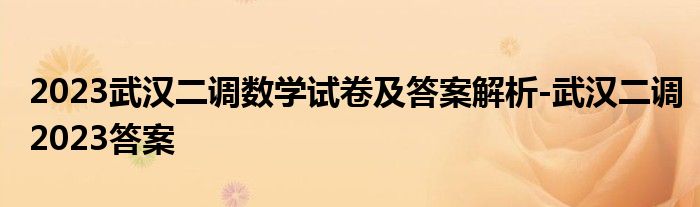 2023武汉二调数学试卷及答案解析-武汉二调2023答案