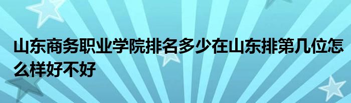 山东商务职业学院排名多少在山东排第几位怎么样好不好