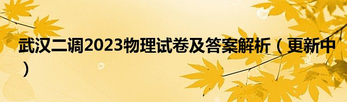 武汉二调2023物理试卷及答案解析（更新中）