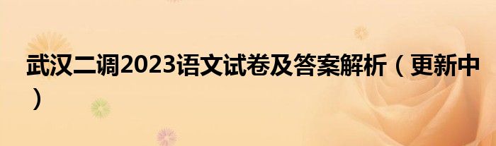 武汉二调2023语文试卷及答案解析（更新中）