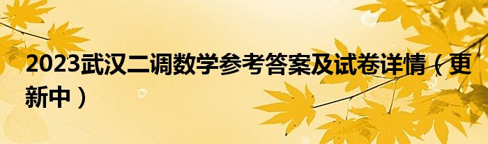 2023武汉二调数学参考答案及试卷详情（更新中）