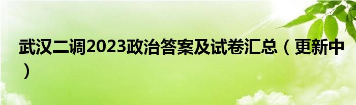 武汉二调2023政治答案及试卷汇总（更新中）