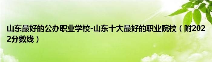 山东最好的公办职业学校-山东十大最好的职业院校（附2022分数线）