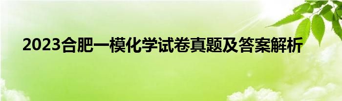 2023合肥一模化学试卷真题及答案解析