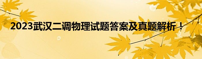 2023武汉二调物理试题答案及真题解析！