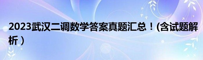 2023武汉二调数学答案真题汇总！(含试题解析）