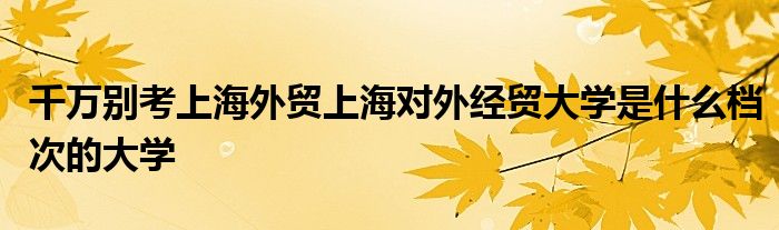 千万别考上海外贸上海对外经贸大学是什么档次的大学