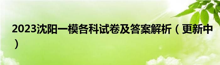 2023沈阳一模各科试卷及答案解析（更新中）