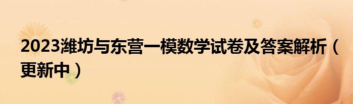 2023潍坊与东营一模数学试卷及答案解析（更新中）