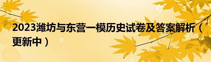 2023潍坊与东营一模历史试卷及答案解析（更新中）