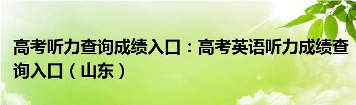 高考听力查询成绩入口：高考英语听力成绩查询入口（山东）