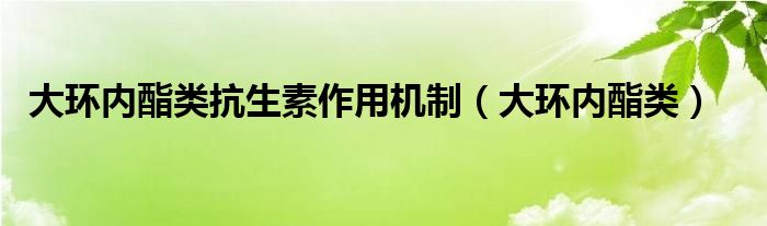 大环内酯类抗生素作用机制（大环内酯类）