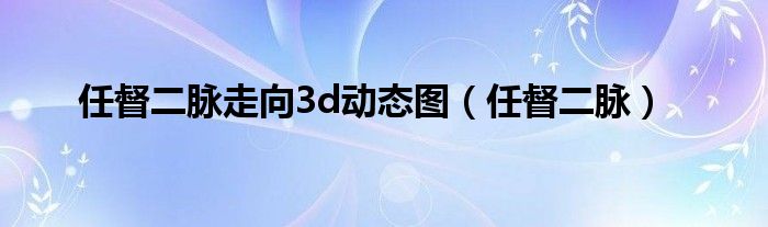 任督二脉走向3d动态图（任督二脉）