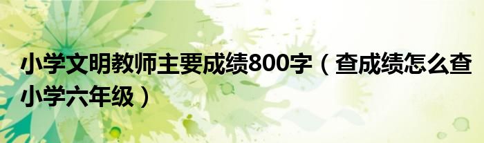 小学文明教师主要成绩800字（查成绩怎么查小学六年级）