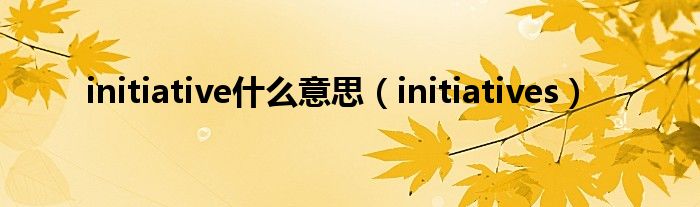 initiative什么意思（initiatives）