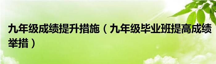 九年级成绩提升措施（九年级毕业班提高成绩举措）