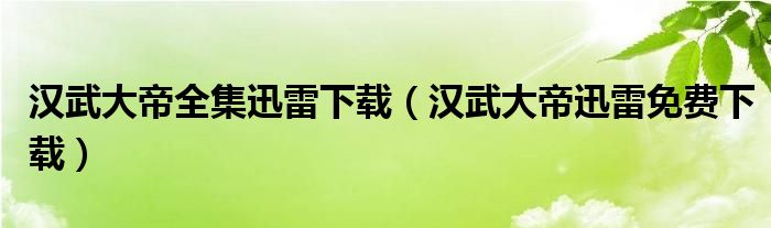 汉武大帝全集迅雷下载（汉武大帝迅雷免费下载）