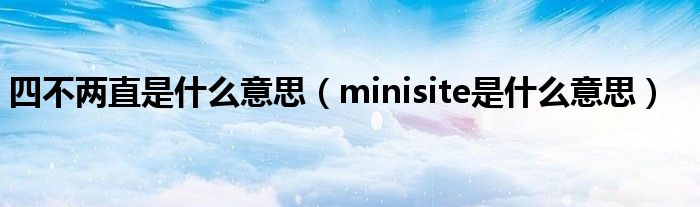 四不两直是什么意思（minisite是什么意思）